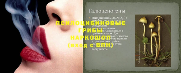 гашик Арсеньев
