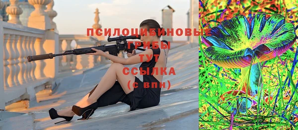крисы Балахна
