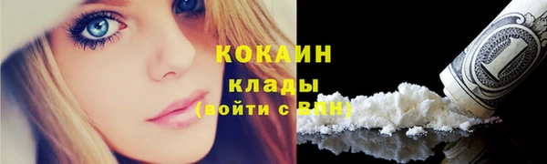 гашик Аркадак