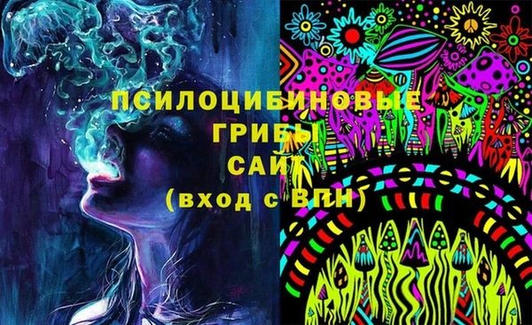 гашик Арсеньев