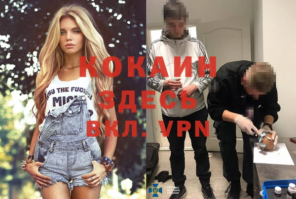 гашик Аркадак