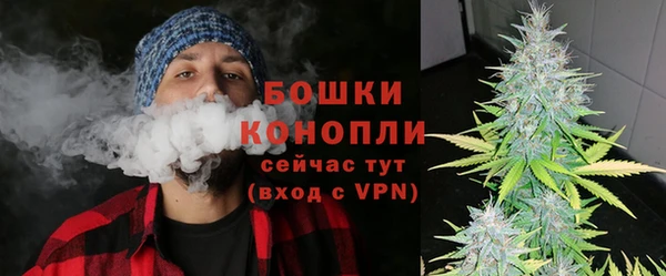 гашик Арсеньев